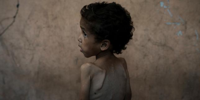 En direct, Gaza : la FAO estime que seulement 1,5 % des terres agricoles de l’enclave restent cultivables